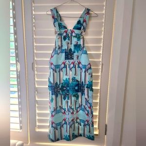 Digitally Printed Artist Overall Dress
